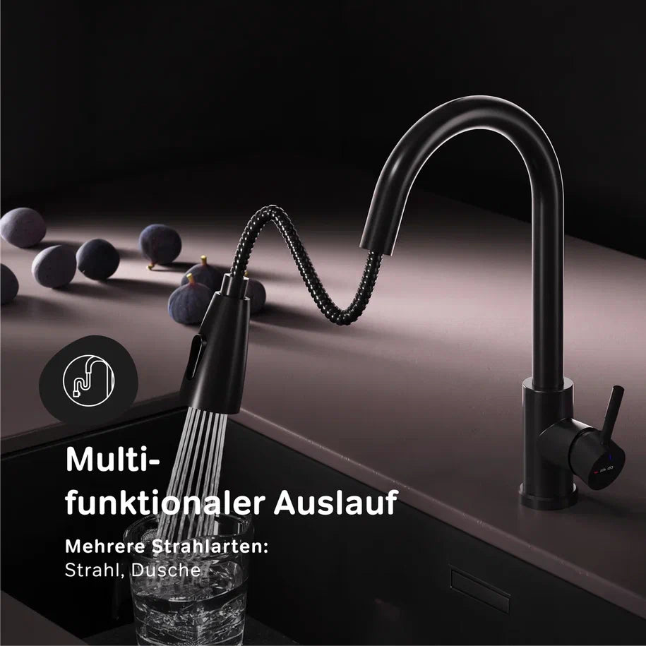 Robinet de cuisine X-Joy S avec bec pivotant et extensible et 2 jets différents, noir–F85B07522