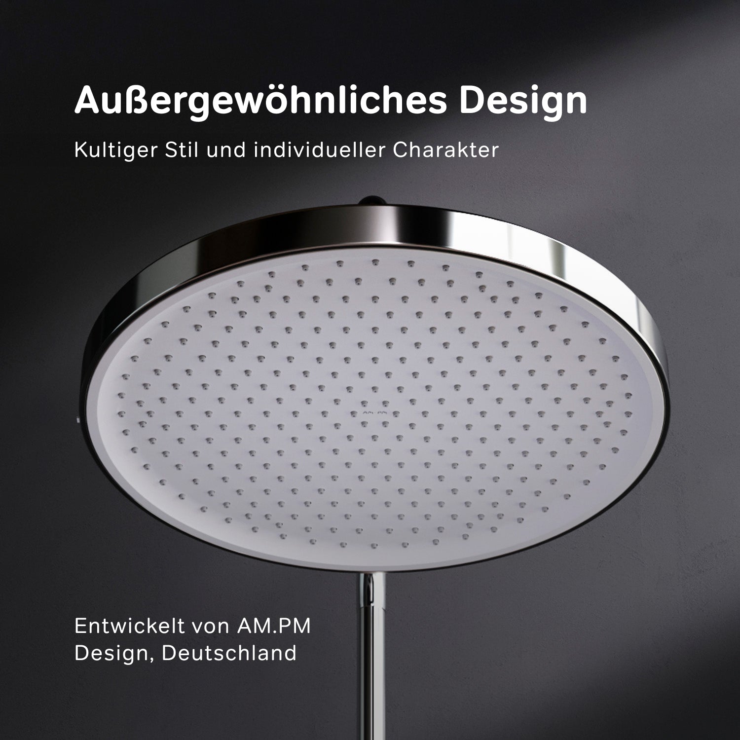 F058Y100 Duschkopf Play Regendushe 30 cm